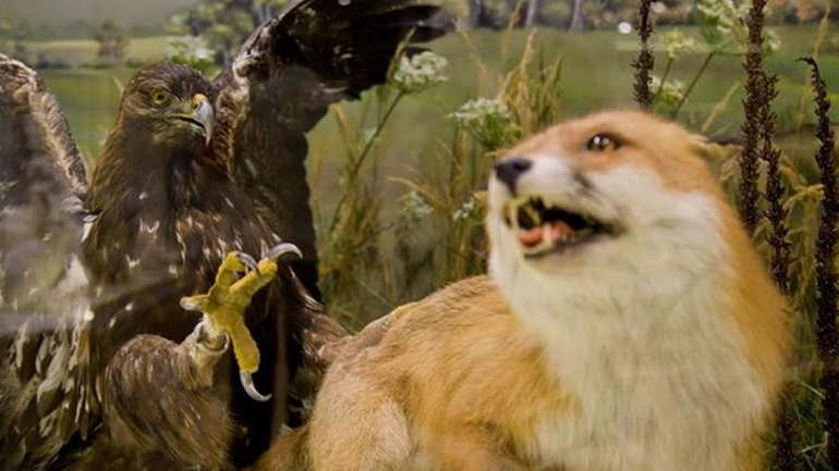 Μουσείο Φυσικής Ιστορίας Μετεώρων: Υποψήφιο για δύο βραβεία της Ευρωπαϊκής Ακαδημίας Μουσείων