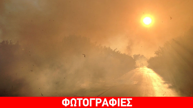 Θεσσαλονίκη: «Λαμπάδιασαν» καλαμιές κοντά στις φυλακές Διαβατών