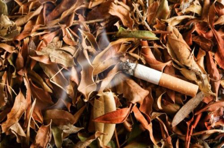 Ένα αναμμένο τσιγάρο μπορεί να βάλει εύκολα φωτιά σε ξεραμένα φύλλα...