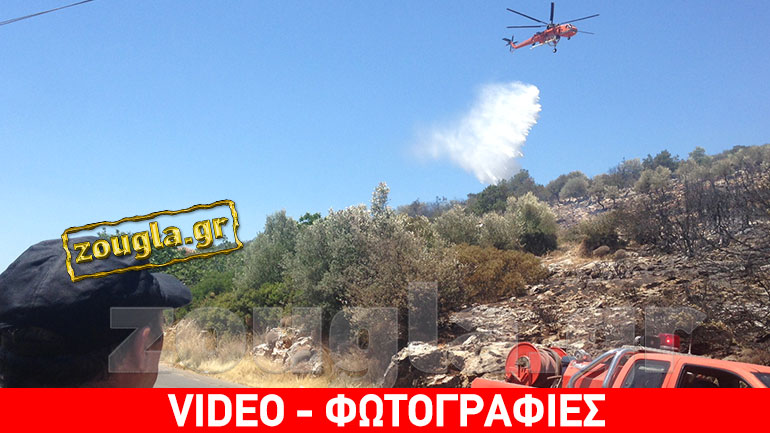 Υπό μερικό έλεγχο η φωτιά στον Μαραθώνα