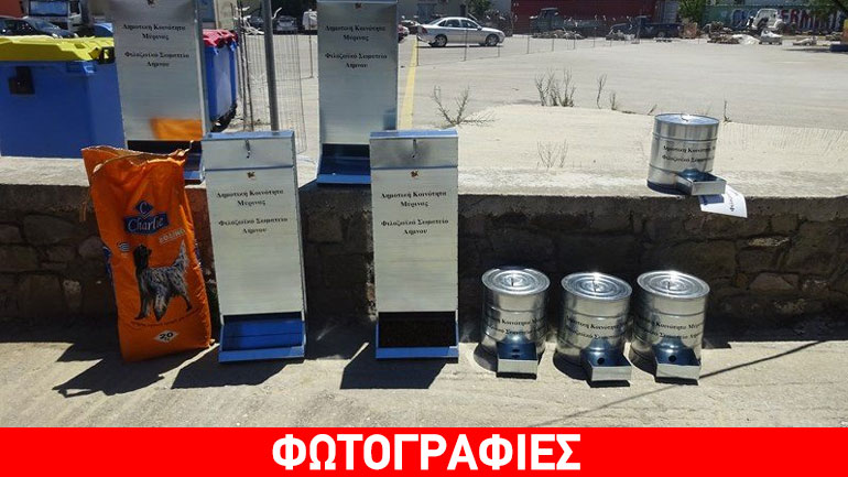 Ταΐστρες για τα αδέσποτα της Μύρινας