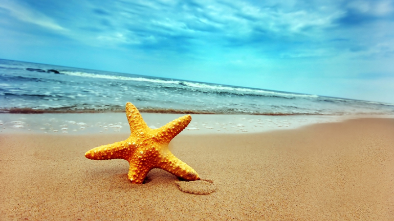 Συμβουλές για να αποφύγετε τα… απρόοπτα των διακοπών