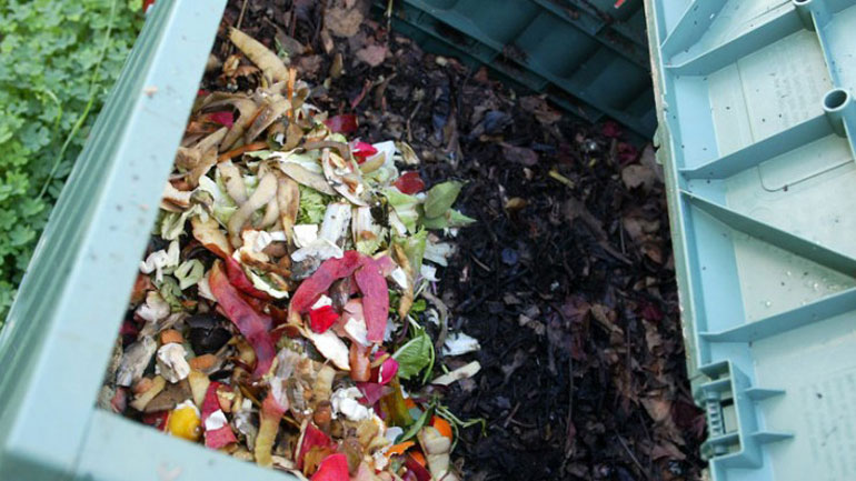 ΕΣΔΝΑ: Περιβαλλοντικά και οικονομικά ωφέλιμη η χωριστή μεταφορά των πράσινων αποβλήτων