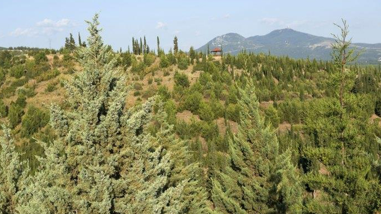 Θεσσαλονίκη: Απαγόρευση κυκλοφορίας στο Σέιχ Σου έως το πρωί της Τρίτης