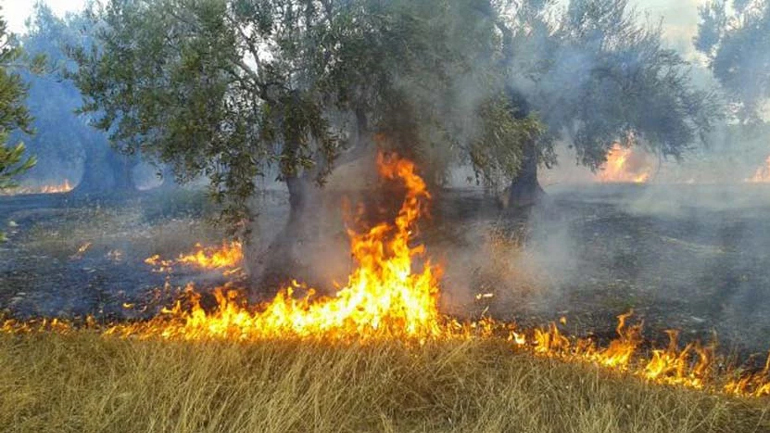Υπό μερικό έλεγχο οι πυρκαγιές σε Γόννους Λάρισας και Λαγονήσι