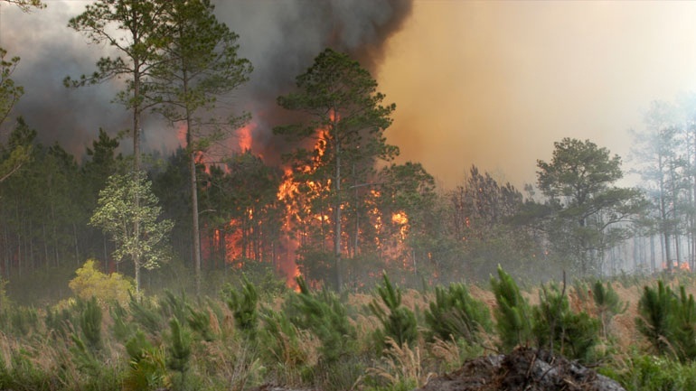 Σε εξέλιξη πυρκαγιές στο Νεοχώρι Iωαννίνων και στο Κολυμπάρι Χανίων