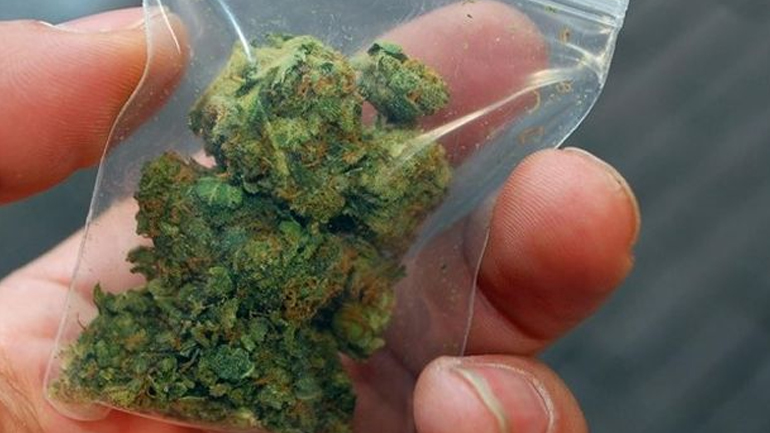 Ανοίγει η συζήτηση για την ιατρική χρήση της κάνναβης Ανοίγει η συζήτηση για την ιατρική χρήση της κάνναβης