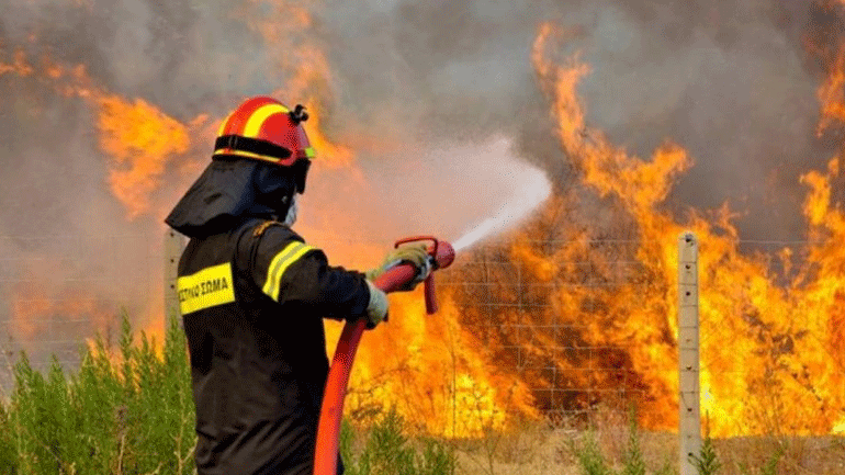 Ιωάννινα: Υπό μερικό έλεγχο η πυρκαγιά στο Νεοχώρι Ζίτσας