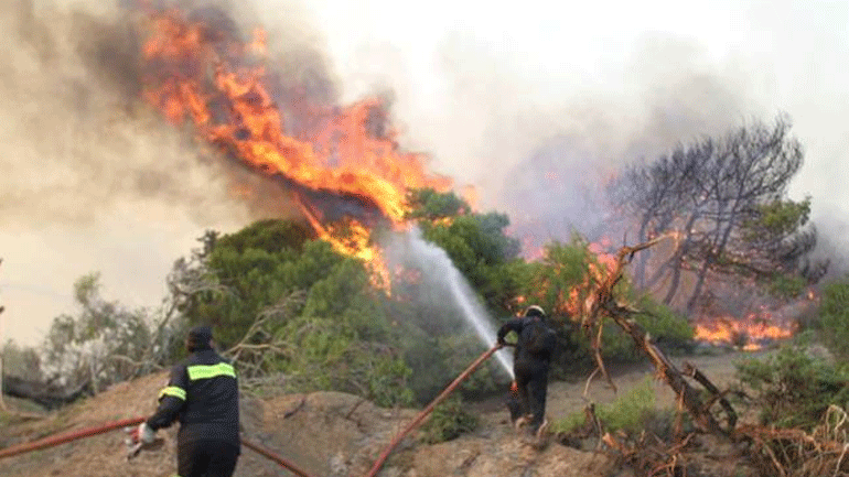 Σε εξέλιξη πυρκαγιά σε αγροτοδασική έκταση στην Εύβοια