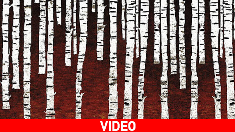 Το Δάσος με τις Σημύδες