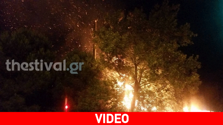Θεσσαλονίκη: Φωτιά έξω από το Καυτανζόγλειο Στάδιο