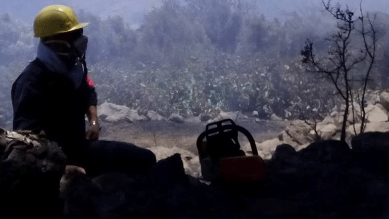 Κρήτη: Υπό μερικό έλεγχο η φωτιά στο Σελάκανο – Χιλιάδες στρέμματα έγιναν στάχτη