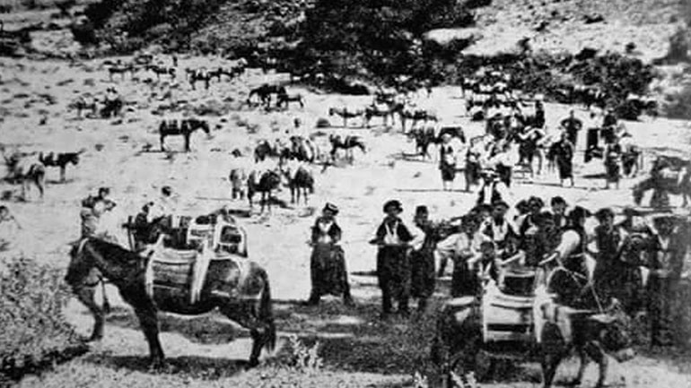 Πολιτιστικές και αθλητικές εκδηλώσεις στο Άλσος Αγίου Σουλά