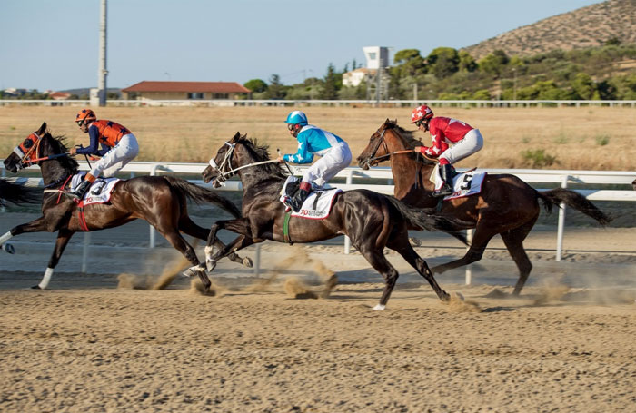 Στιγμιότυπο από τον Ιππόδρομο Αθηνών