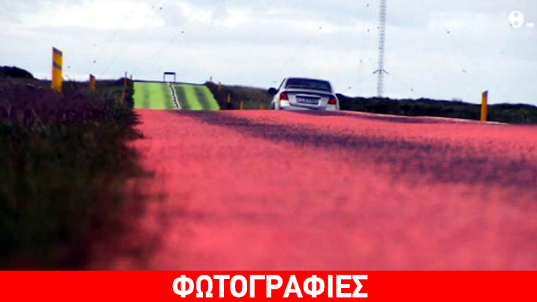 Αλλάζουν χρώμα στο οδόστρωμα λόγω πτηνών