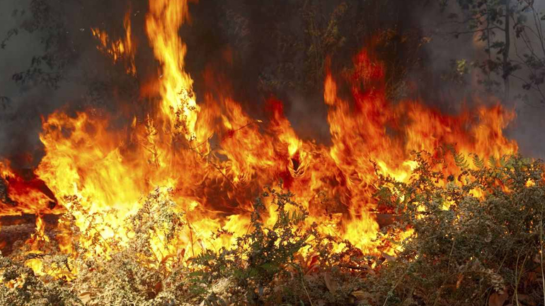 Πυρκαγιά στη Χαλκιδική