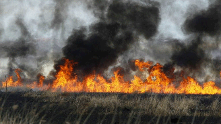 Υπό πλήρη έλεγχο η πυρκαγιά στα Λιρά Λακωνίας