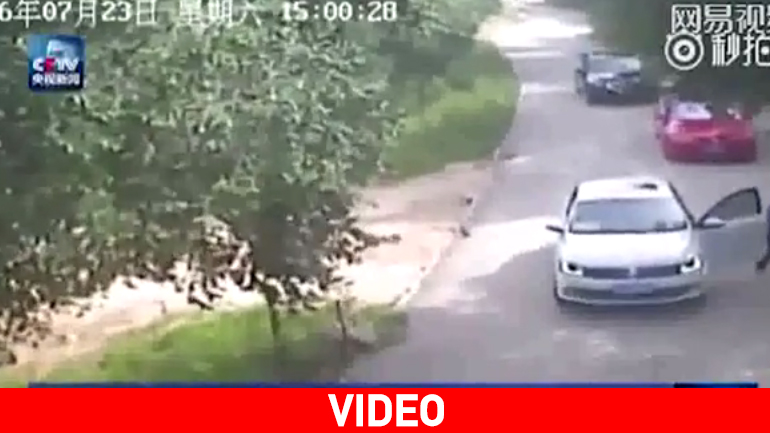 Tίγρης κατασπάραξε γυναίκα σε πάρκο άγριας ζωής