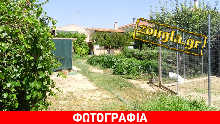 Βρέθηκε νεκρός 83χρονος στο Πικέρμι