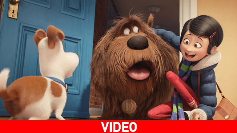 Μπάτε Σκύλοι Αλέστε