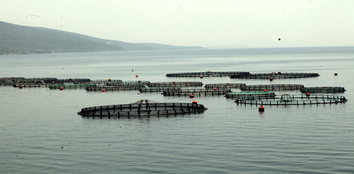 Ο ενάλιος πλούτος μας