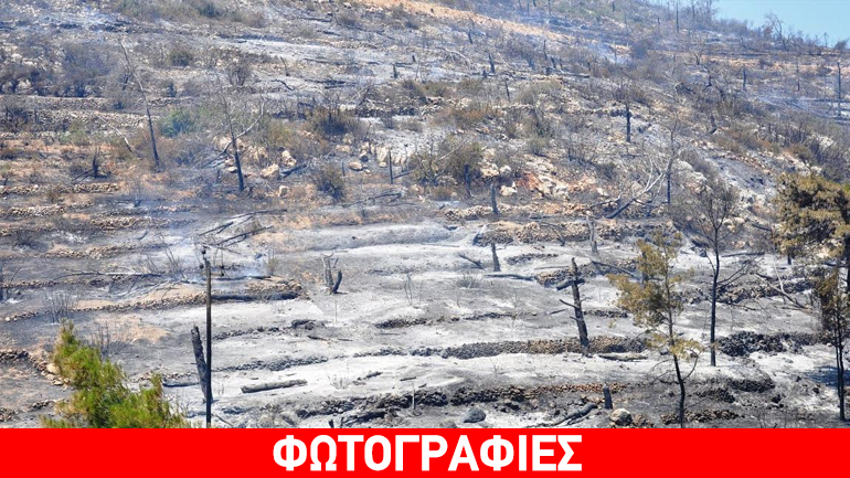 Κρανίου τόπος η νότια Χίος