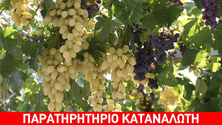Δέσμευση πατάτας και σταφυλιών στην περιοχή του Ρέντη