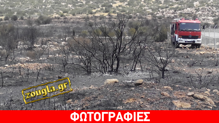 Υπό μερικό έλεγχο η πυρκαγιά στα Καλύβια Αττικής