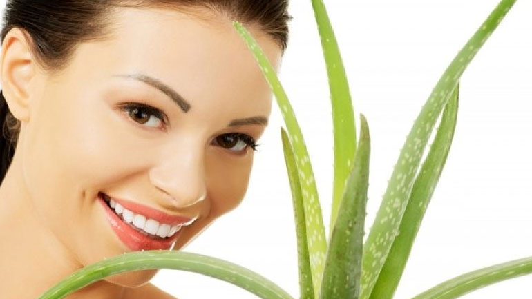 Αλόη: Τα μοναδικά της οφέλη για την επιδερμίδα και όχι μόνο