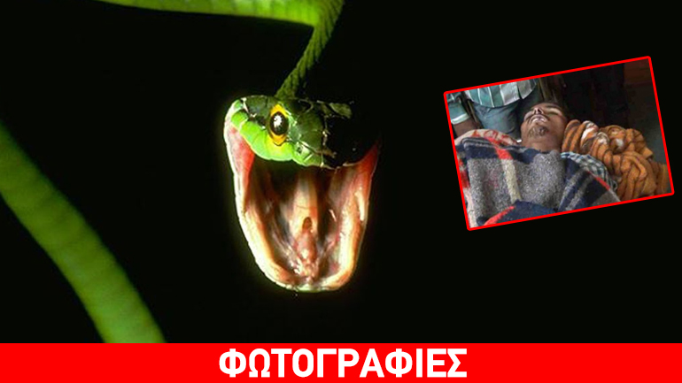 Ινδία: Τον νόμιζαν πεθαμένο και… αναστήθηκε λίγο πριν τον κάψουν!