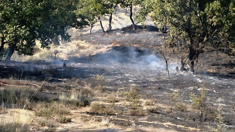 Υπό μερικό έλεγχο η φωτιά στην Κέα