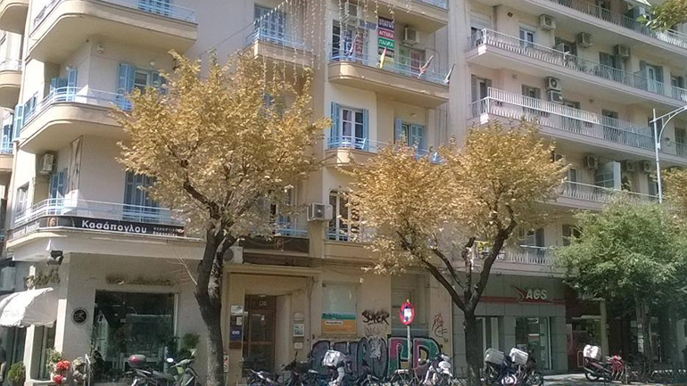 Θεσσαλονίκη: «Ξεράθηκαν» τα δέντρα στην Τσιμισκή λόγω έλλειψης βροχής