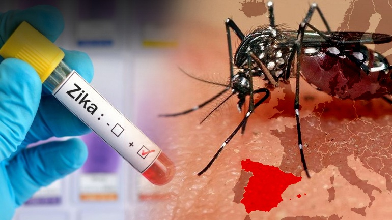 Φλόριντα: 14 τα κρούσματα του ιού Ζίκα