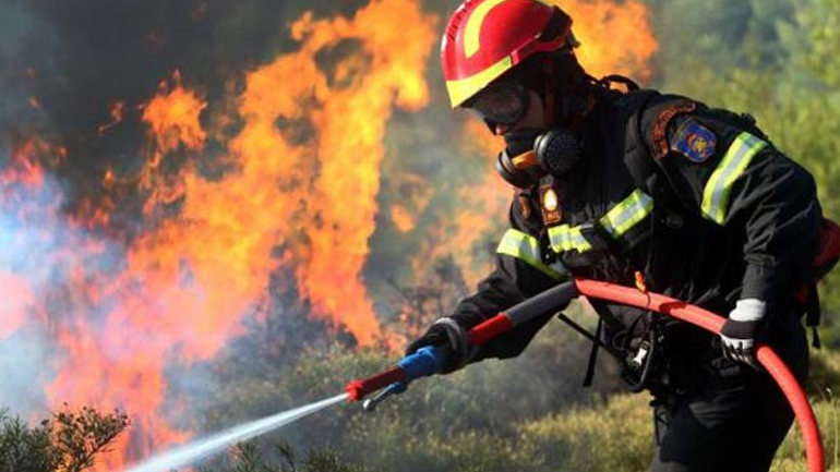 Κόνιτσα: Υπό μερικό έλεγχο τέθηκε η πυρκαγιά σε πευκοδάσος