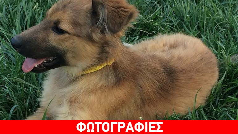 Ό,τι ψάχνεις, το έχει η Missy!