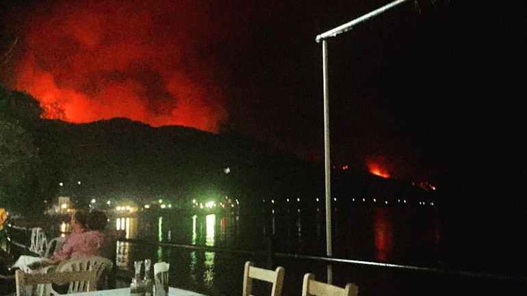 Βόρεια Εύβοια: Ενισχύονται οι πυροσβεστικές δυνάμεις με ερπυστριοφόρα μηχανήματα για διάνοιξη αντιπυρικών ζωνών