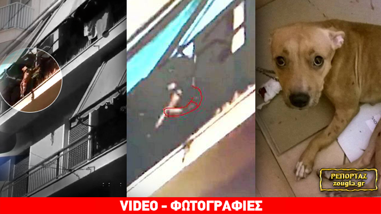 Σχηματίστηκε δικογραφία για τον δράστη της κτηνωδίας στην πλ. Αμερικής μετά από νέες καταθέσεις αυτόπτων μαρτύρων