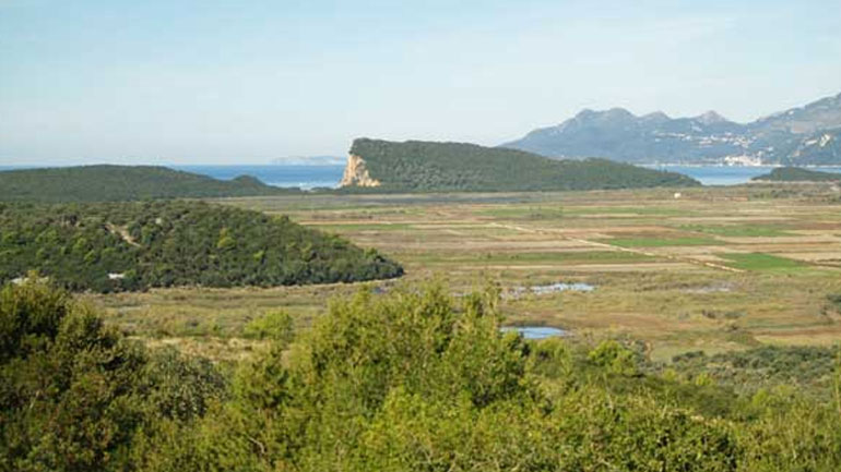 Πάργα: Πνίγηκε ηλικιωμένη στο Αλωνάκι