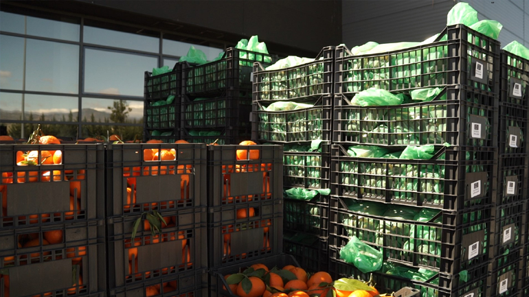 Δήμος Αθηναίων: Έως την Κυριακή ο διαγωνισμός για τρόφιμα και υλικά ενίσχυσης ασθενών ομάδων