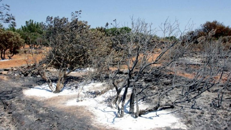 Φαρμακευτικό υλικό από τη Μητρόπολη Χίου στους πυρόπληκτους του νησιού