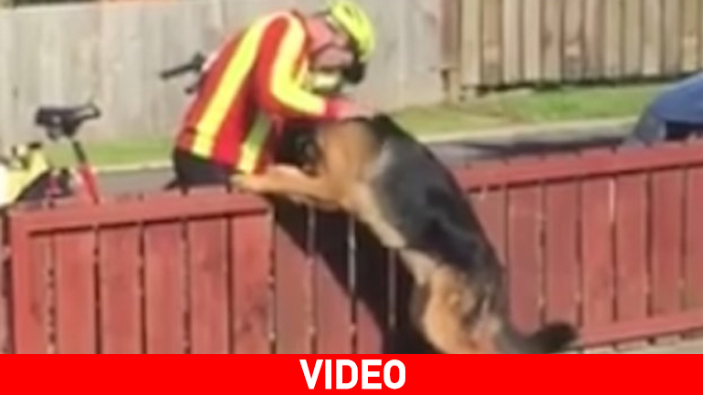 Όταν ο ταχυδρόμος συναντά τον σκύλο της αυλής…