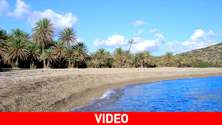 Το Φοινικόδασος του Βάι… από ψηλά!