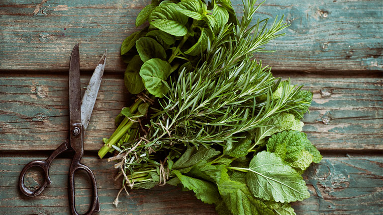 Τα δύο βότανα που ανακουφίζουν από τον πόνο