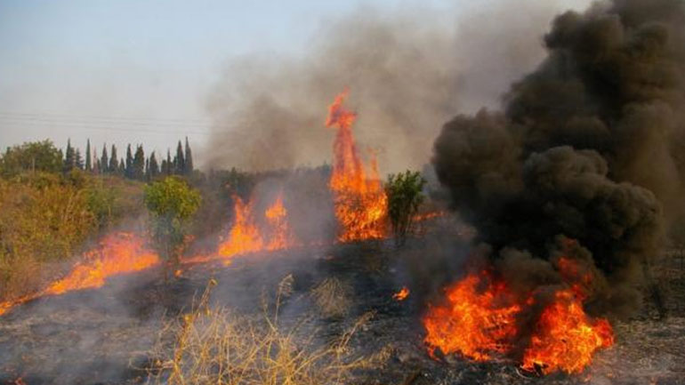 Ναύπλιο: Υπό μερικό έλεγχο η φωτιά στην περιοχή Λευκάκια