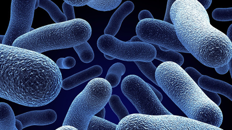 ROBUST: Η νέα τεχνική παραγωγής βιοκαυσίμων με… ελληνικό άρωμα