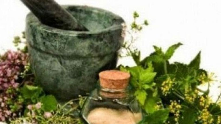 Επιστροφή στη φύση: Πολύτιμα βότανα για κάθε ασθένεια