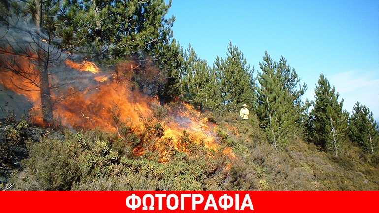 Υψηλός κίνδυνος πυρκαγιάς σε Αττική, Εύβοια και Χαλκιδική