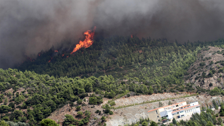 Πυρκαγιά σε δασική έκταση στη Δράμα