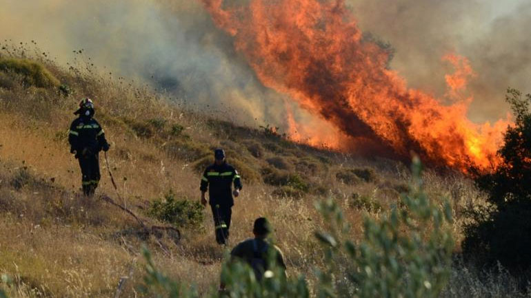 Αργολίδα: Υπό μερικό έλεγχο η φωτιά στην περιοχή Τζέμι Κρανιδίου