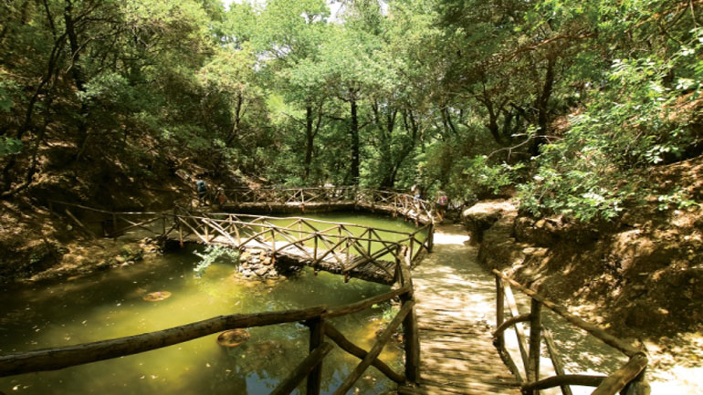 Ρόδος: Παρεμβάσεις στην κοιλάδα των πεταλούδων